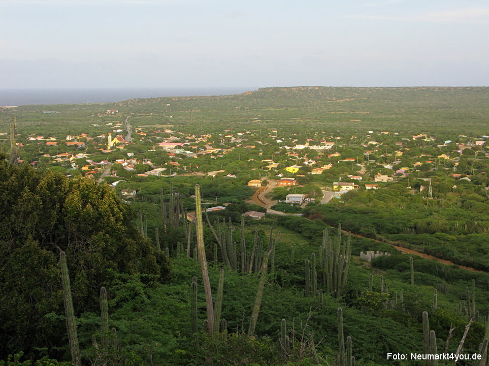 0020 Insel Bonaire 2009